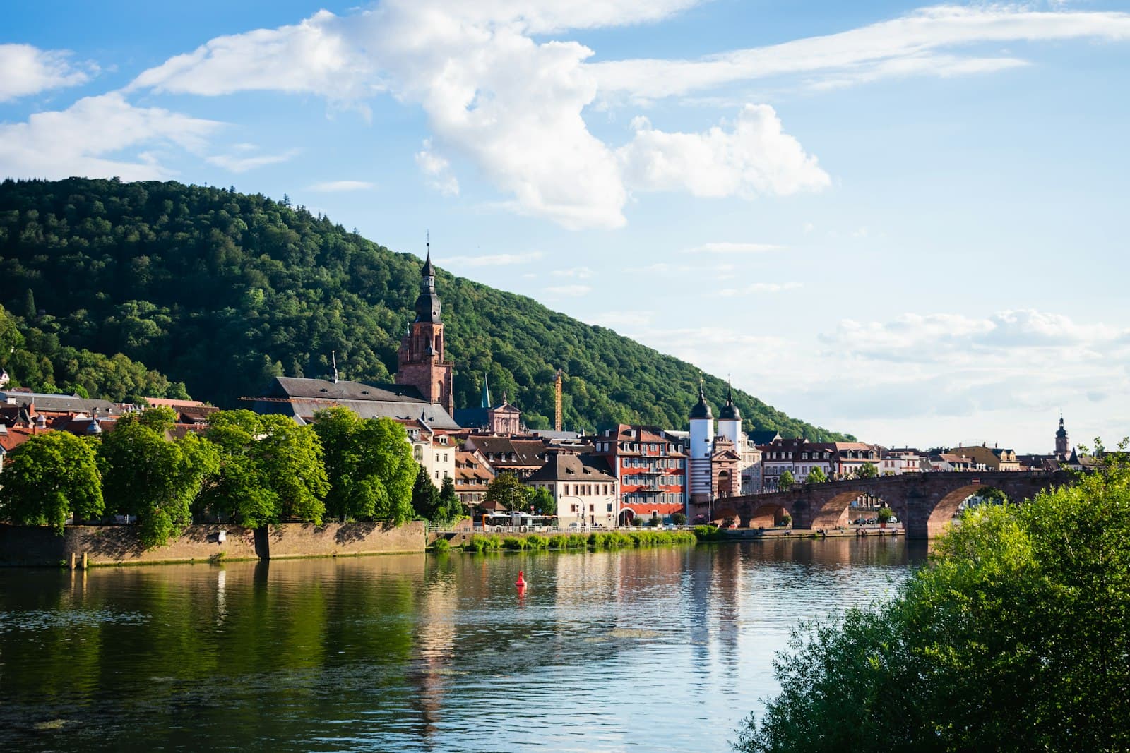 Heidelberg — green trees near body of water during daytime