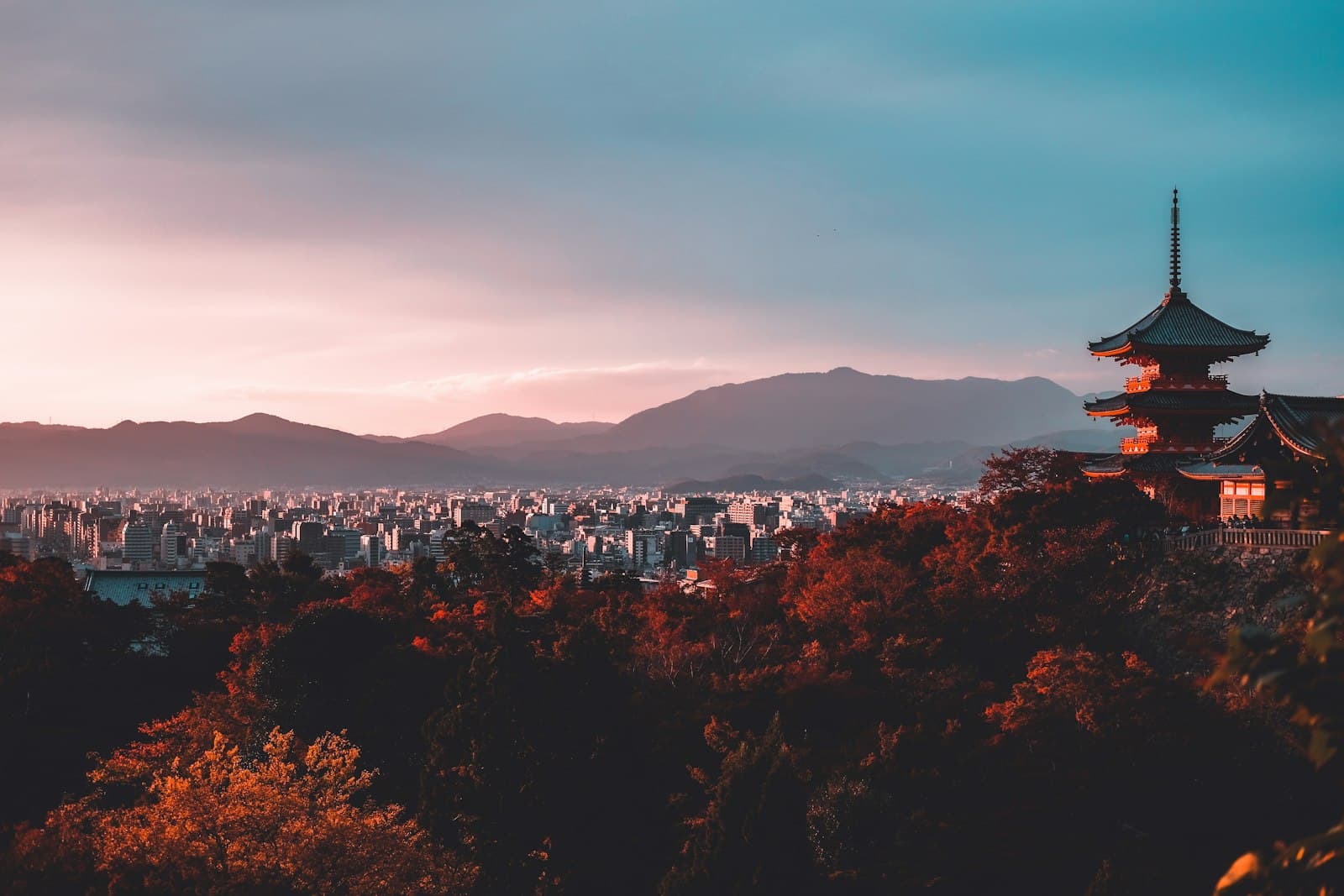 Kyoto — pagoda surrounded by trees